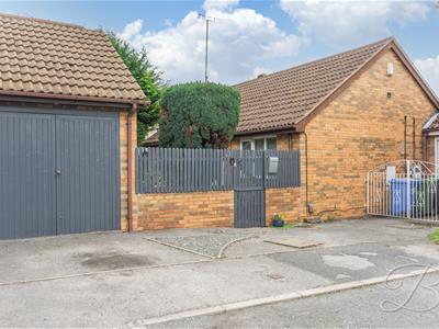 Picture 27